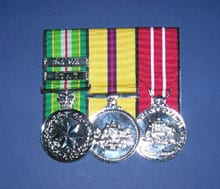 Pricing  Tania Buck Medals and Frames